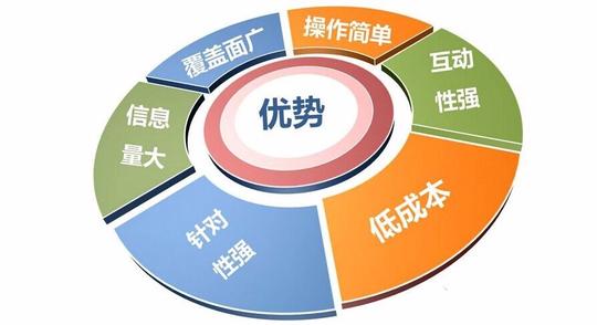 如何利用网络营销提升企业品牌形象商品大图普通会员河南黑蜘蛛
