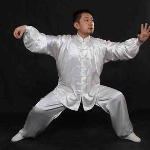 中国传统武术代表