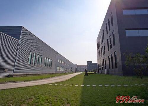 有什么加工厂适合农村?5万最新小型加工厂项目、手工制品厂-有什么