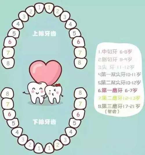 孩子换牙时候怎么检查孩子牙齿健康