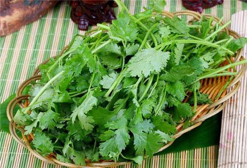 吃得太好会得荨麻疹吗