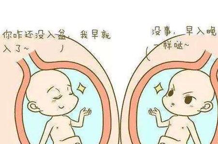 彩超怎么显示胎儿入盆