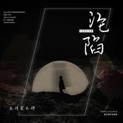 沦陷(王靖雯不胖)