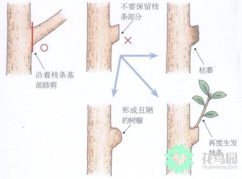 常见的八种修辞手法