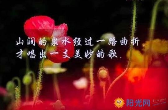 2017创业励志早安心语