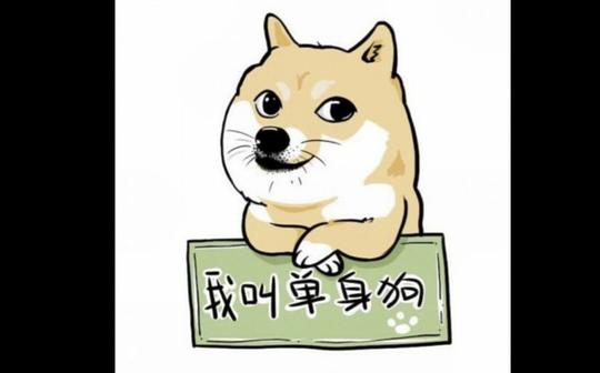 【小鸭子】单身狗之歌