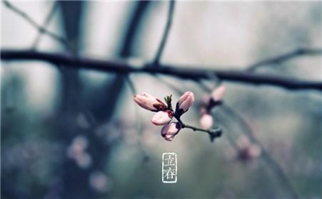 一年之计在于春的励志句子