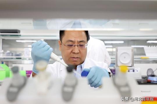 hutchinson癌症中心首席科学家,现为河北森朗生物科技有限公司董事长
