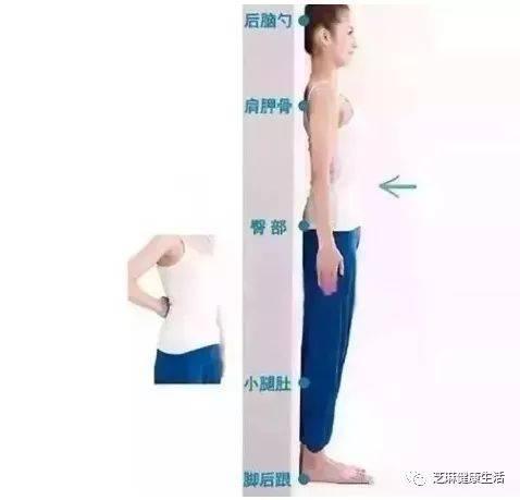 肚脐眼连着的是身体哪里