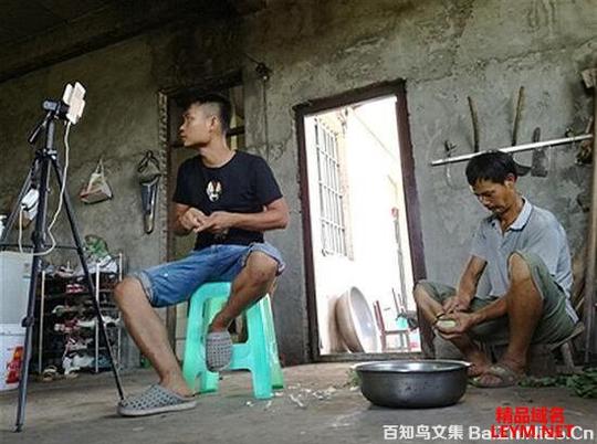 90后直播质朴农村生活半年获8万打赏用喂猪插秧等打动粉丝
