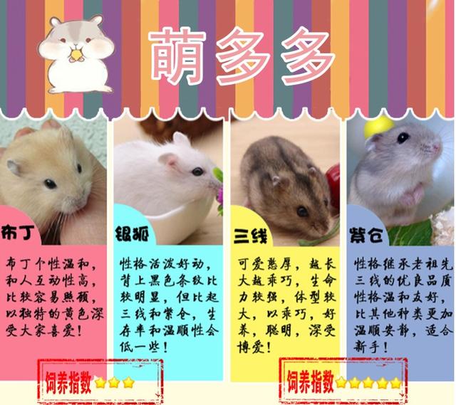 秦家鼠宝宝怎么起名字(有哪些令人印象深刻的父亲形象)