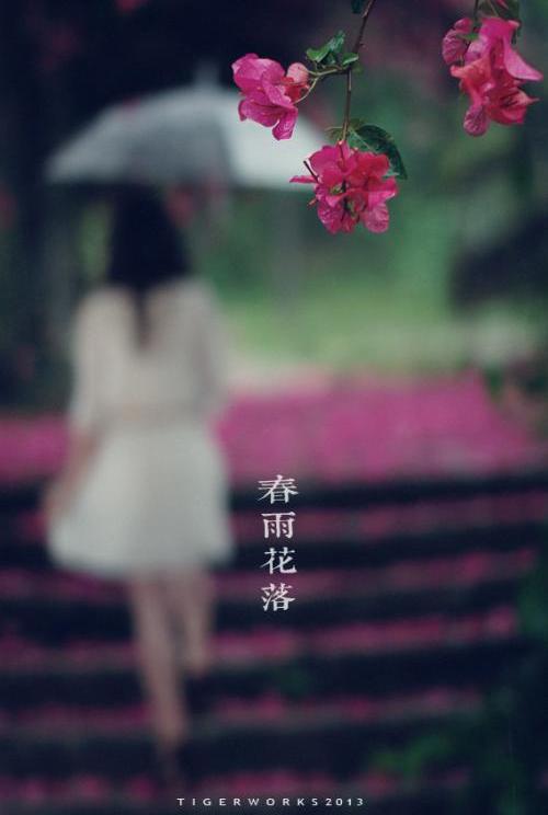 【转载】《春雨花落》伞下伤感人物素材
