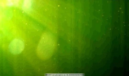 自然绿色的粒子光斑背景循环视频素材自然绿色的粒子光斑背景循环视频素材免费下载