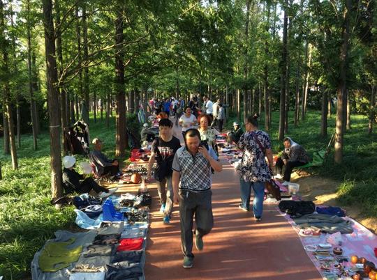 周末晨景——大连中山公园里的地摊生意