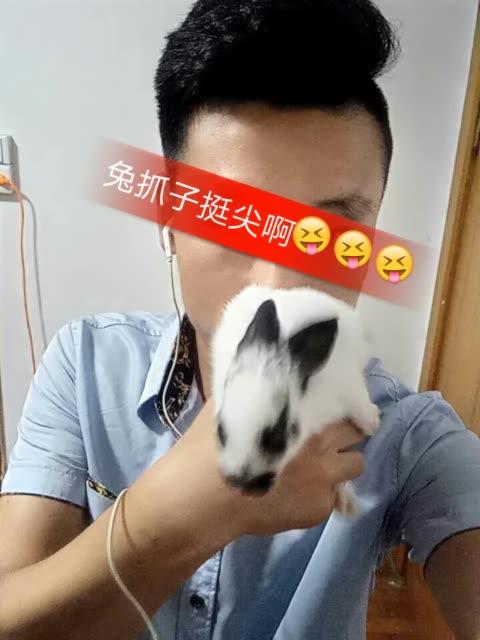 感谢快手平台,好几天没喊麦了,一首大话西游送给你们,双击+关注666