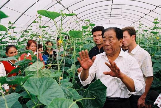 今年农村这三大行业已亏钱，最后一个让不少农民把老本都搭了进去