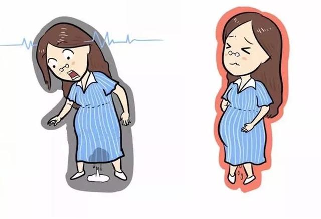 孕晚期应该做些什么