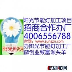 代理加盟好项目|上海阳光节能灯组装加工合作办厂让您轻松创业赚钱