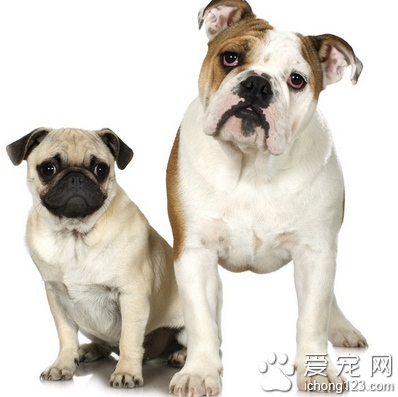 给宝宝打虫什么时候好