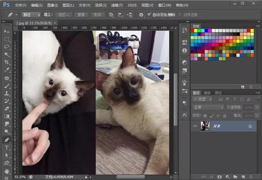 史上最全的24款抖音运营必备工具盘点!