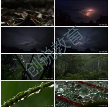 华洛芙森林雷雨闪电天气下雨狂风暴雨乌云航拍高清实拍视频素材