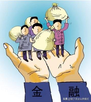 农村2019贷款政策来了解一下!无息、创业贷款有没有符合条件?
