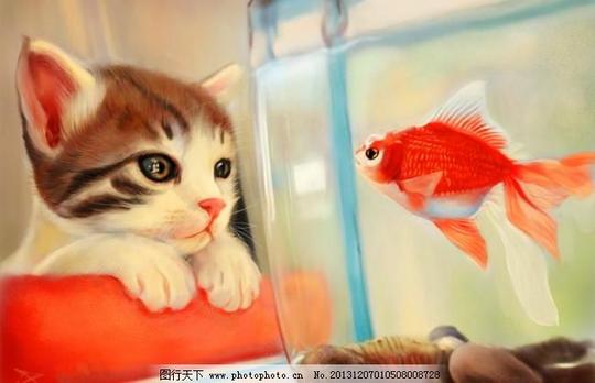 猫和鱼宠物绘画书法金鱼可爱猫猫猫咪手绘猫和鱼设计素材