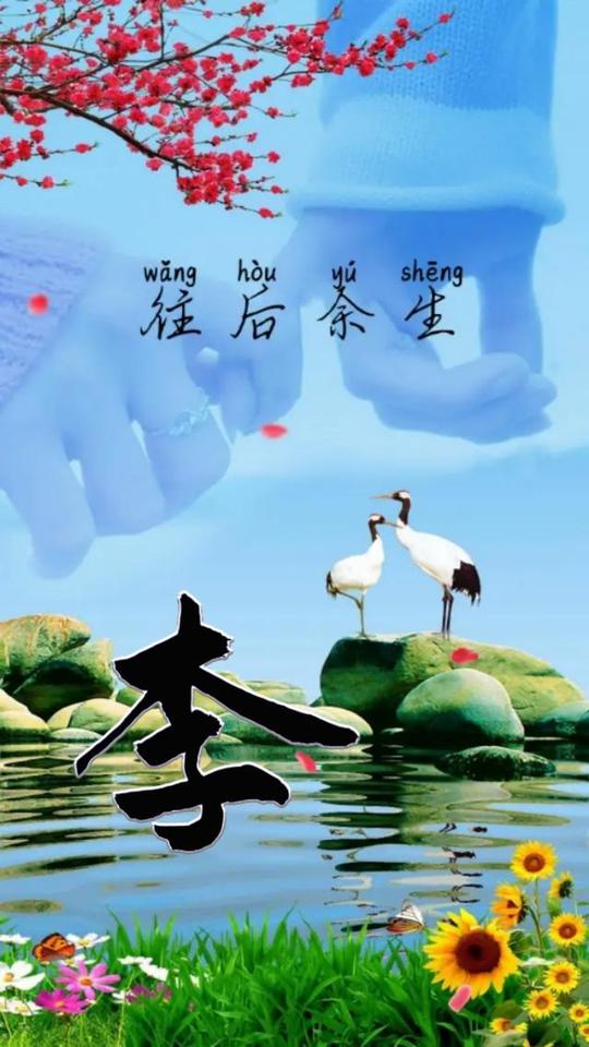 姓氏壁纸往后余生