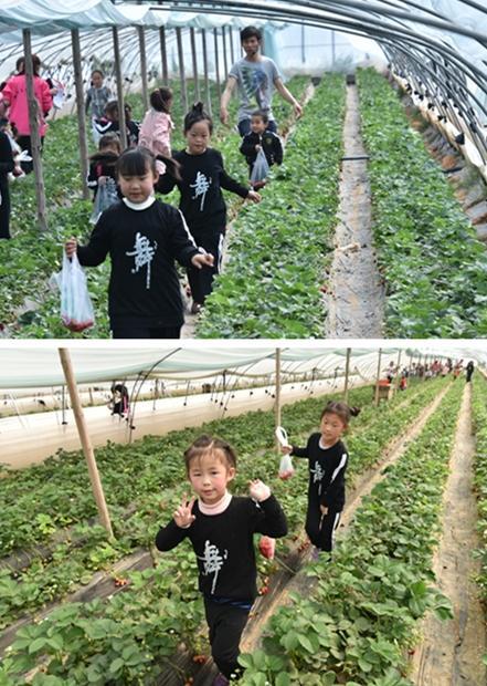 幼儿教师;从城市走向农村令人心酸的创业梦