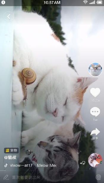 玩抖音出事了2岁宝宝被爸爸180度翻转,头部着地脊髓严重受损