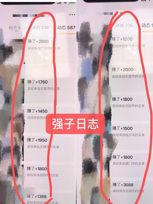 无货源闲鱼赚钱模式详解,教你闲鱼怎么卖货出单快!强子日志