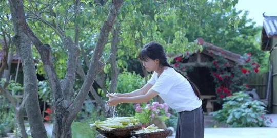 古法烹调逍遥草本茶,李子柒的乡村田园生活,满是幸福滋味