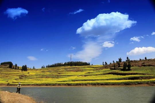 【花乡意境浓摄影图片】云南曲靖罗平纪实摄影