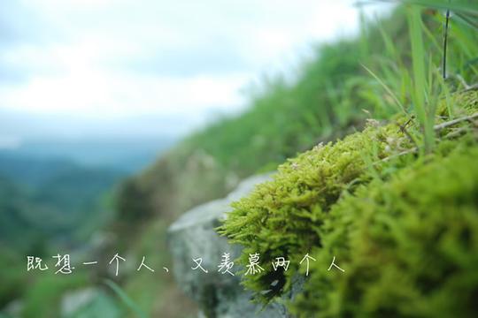 唯美文字意境图片文字意境图片,唯美文字意境高清图片素材下载,心情