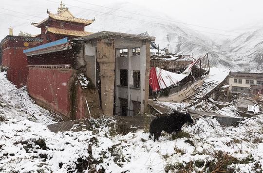 地震_遗址_古寺_图片大全—全景创意图库（quanjing.com）中国领先的正版图片视频素材网站