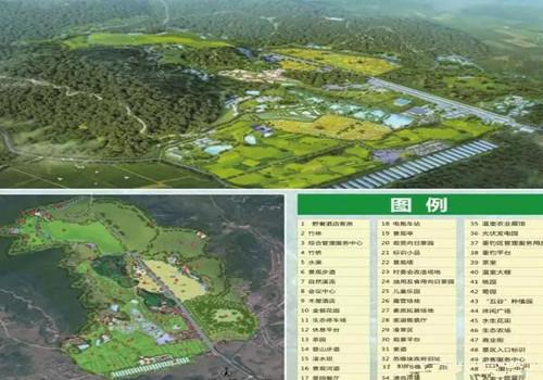 【能人回乡创业典型】黄梅县回乡创业能人典型李柳军
