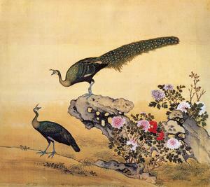 故宫鸟谱003孔雀仿古画复制名人字画名家书画29x32花鸟画小品国画