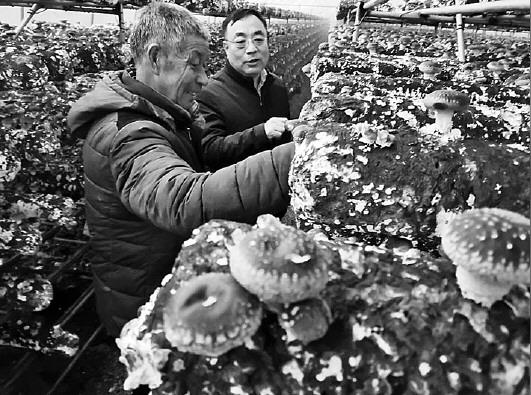 空壳村变富裕村，循环产业一年创收300万元!