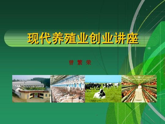 现代养殖业&lt;/strong&gt;创业讲座ppt