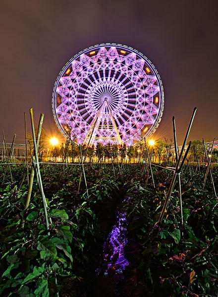 夜幕下的摩天轮_图片大全—全景创意图库（quanjing.com）中国领先的正版图片视频素材网站