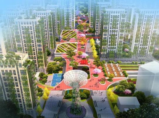 划船社区,白鹤社区宁波"未来社区"试点项目确认