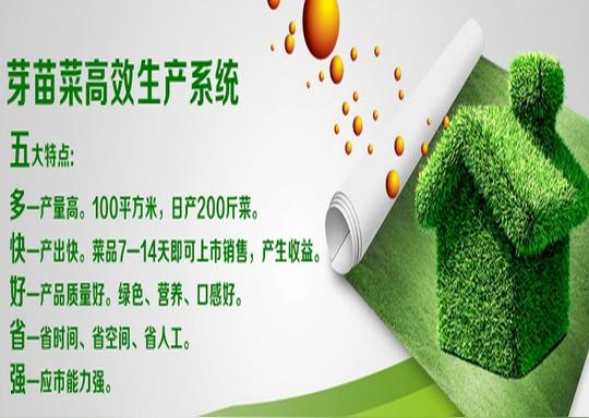 绿国鑫源芽苗菜加盟