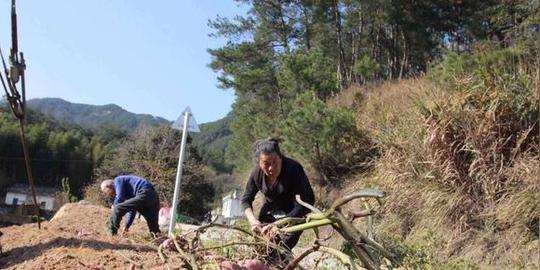 农村俗语"财不进急门,福不进偏门",如何理解?细想还挺