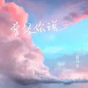 曾经你说(赵乃吉)