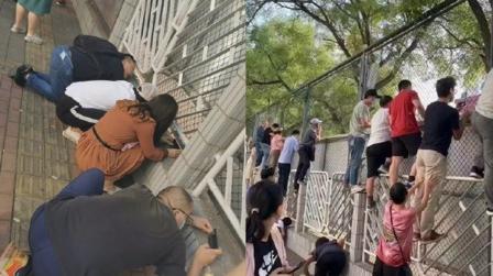 开学第一天家长骑墙趴地观察孩子家长统一姿势你get了吗?