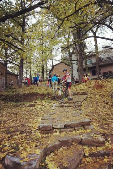 桂林市的叶子村在哪里