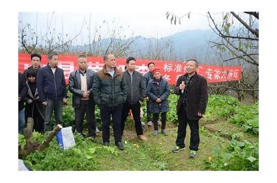 农业现代化,首先要农业市场化!