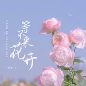 等不来花开(白允y)