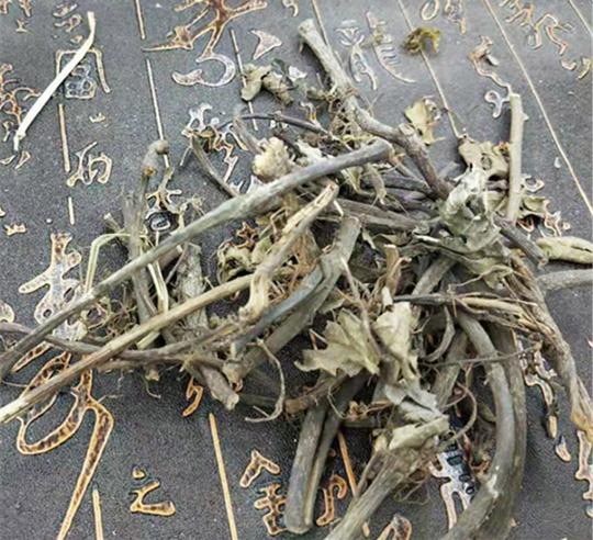南岔僵蚕哪里能买到产地是哪里