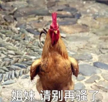 你好骚呀搞笑斗图表情